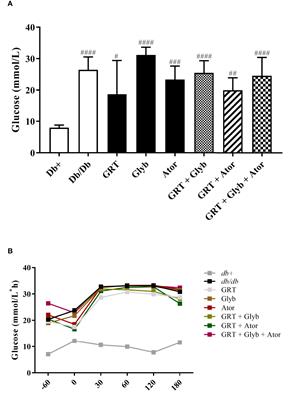 Aspalathin-rich green rooibos tea in combination with glyburide and atorvastatin enhances lipid metabolism in a db/db mouse model